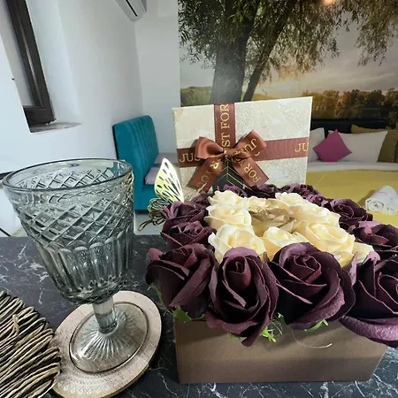 Aqua Free Parking Apartment Craiova